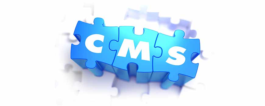 Which CMS is suitable for you ?