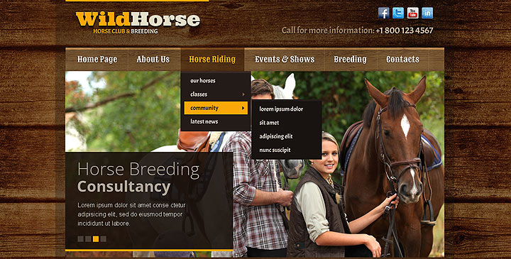 Wild Horse HTML5 Bootstrap Template
