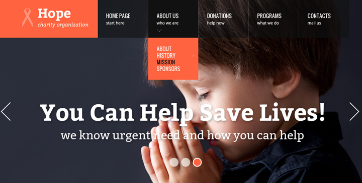 charity organizations free website templates