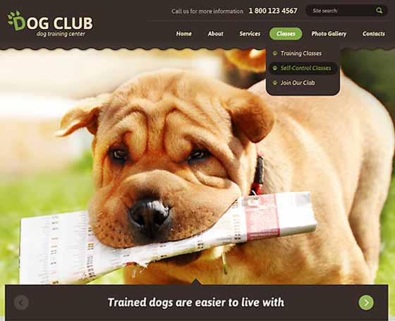 Dog Club bootstrap theme