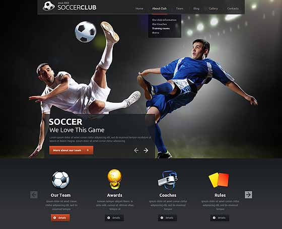 Football (soccer) WordPress theme