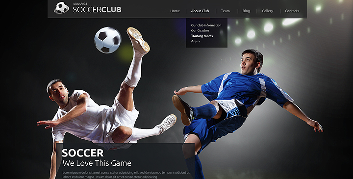 soccer WordPress theme
