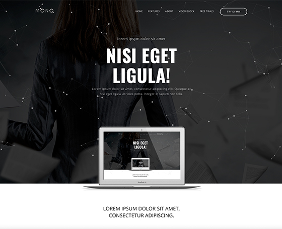 Mono free landing page template