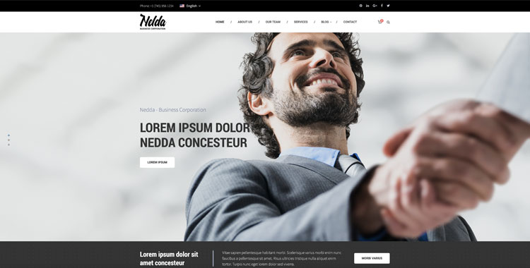 Nedda Free website template