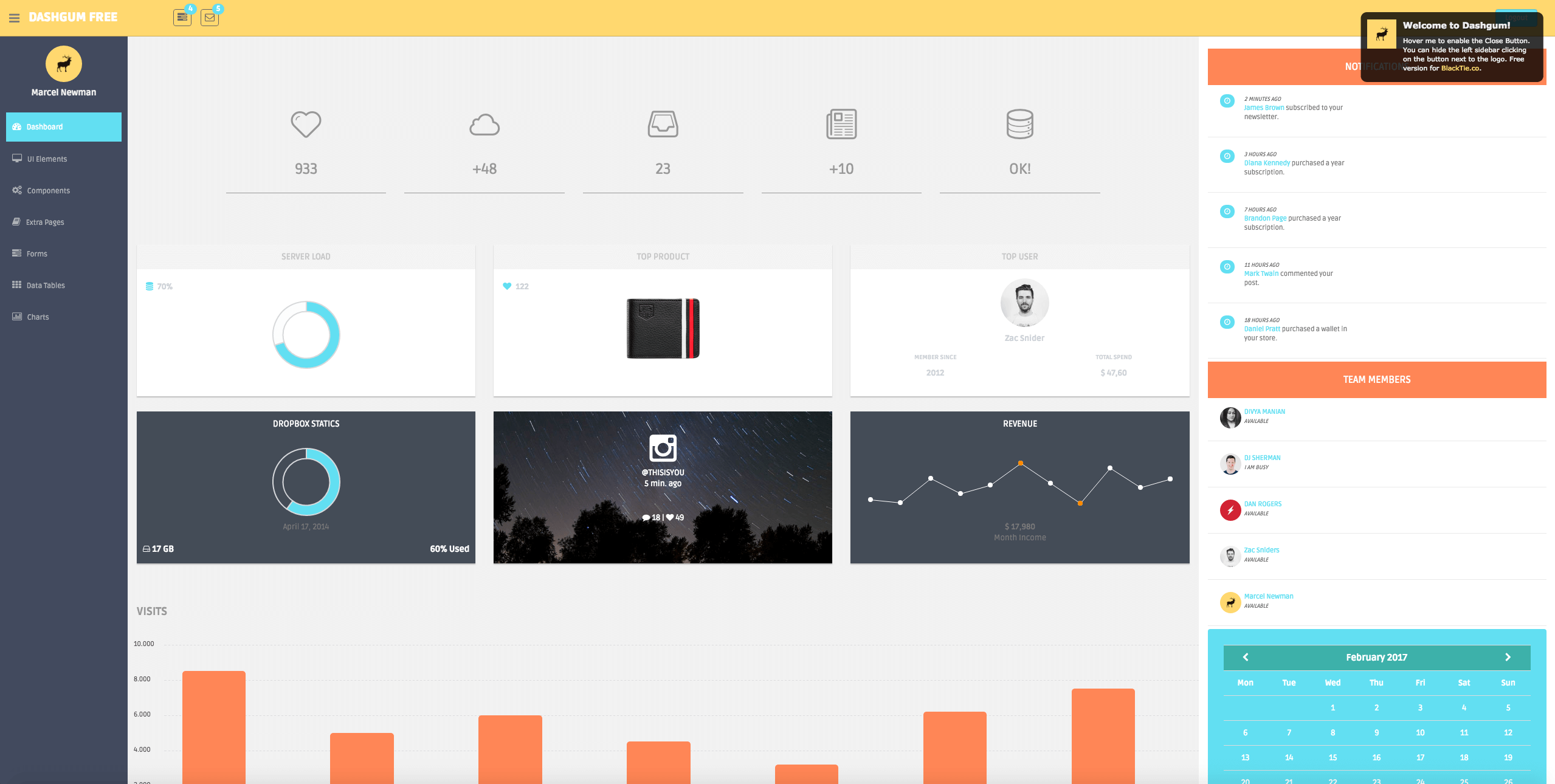 Dashgum basic free theme