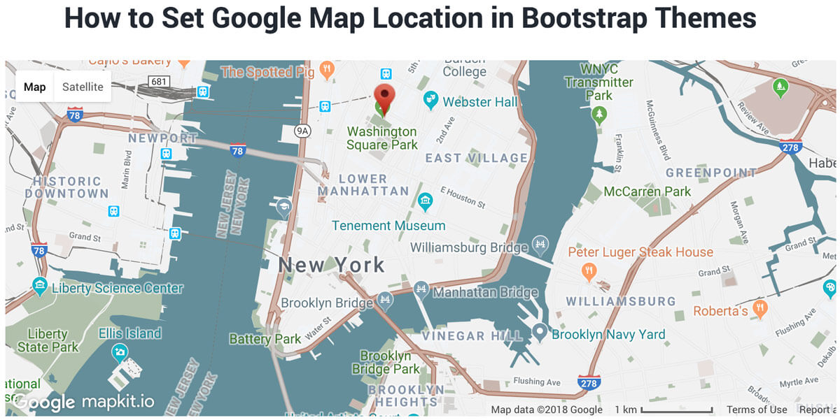 How to set google map location