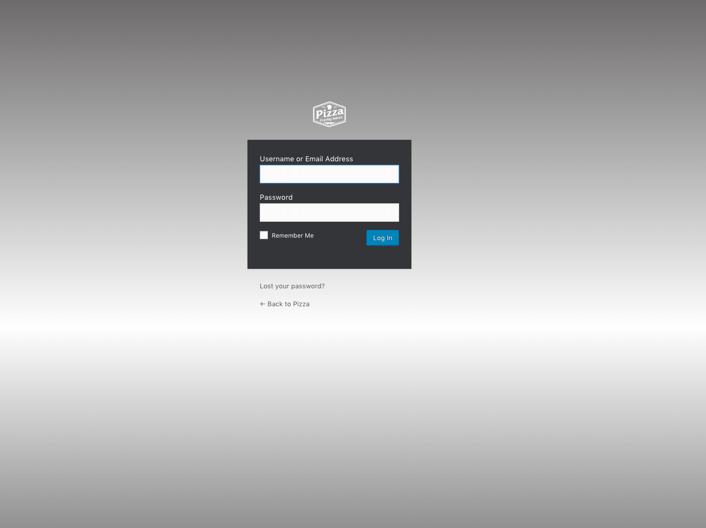 wp admin login page