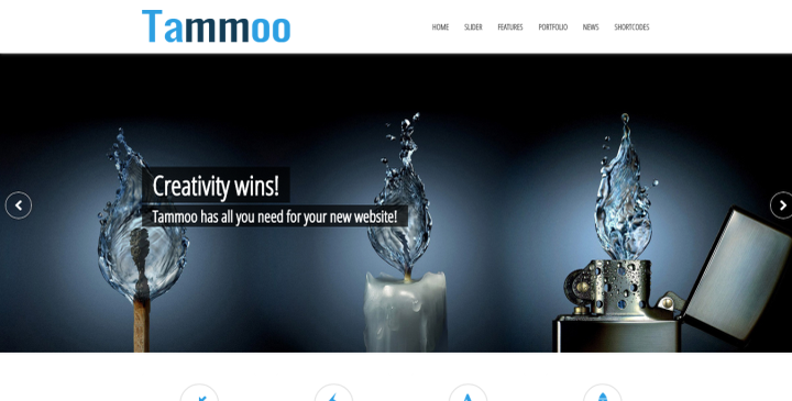 Tammoo - Multipurpose WordPress Template
