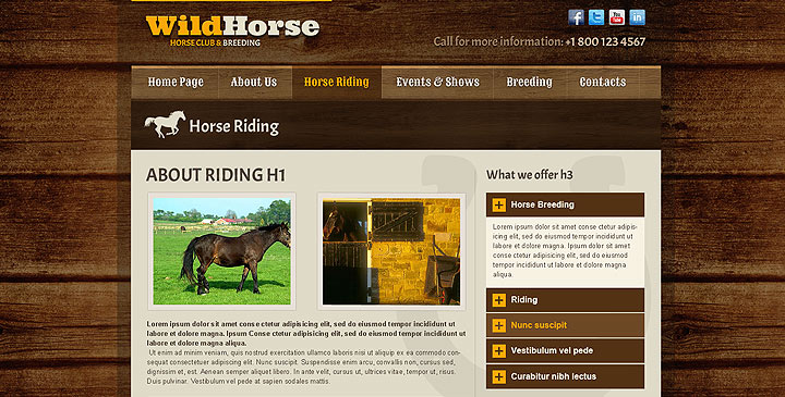 Wild Horse Bootstrap Template
