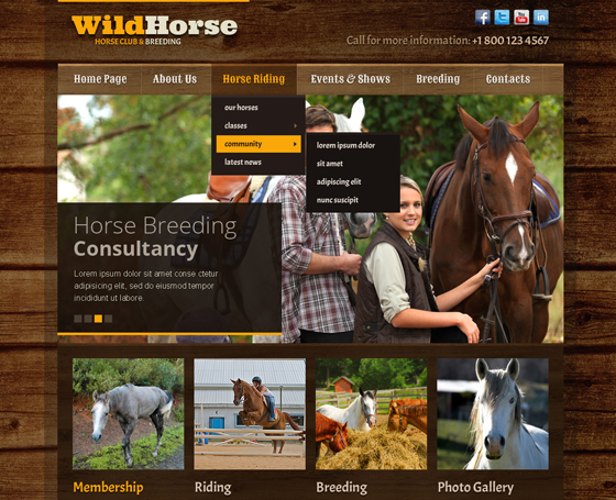 Wild Horse Bootstrap Theme