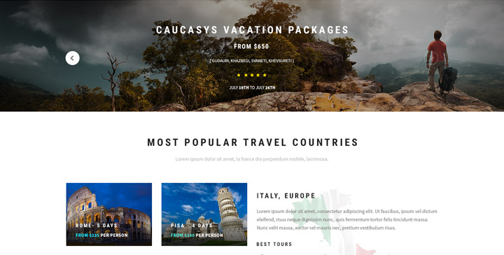 Travel agency template