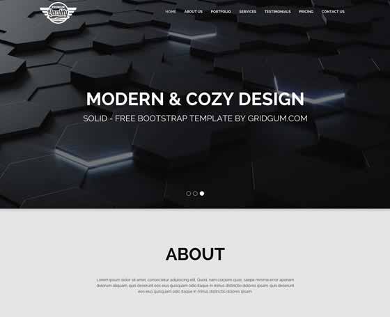 Solid - Free bootstrap theme